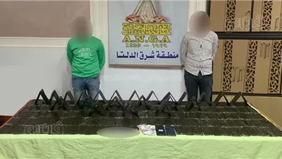 حبس 7 عناصر إجرامية بتهمة حيازة والاتجار في المواد المخدرة 