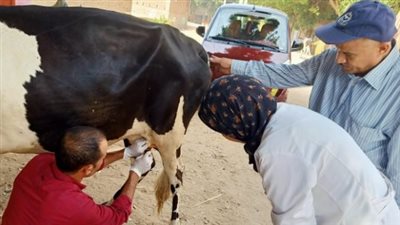 الزراعة تطلق قافلة بيطرية مجانية إلي محافظة الفيوم 