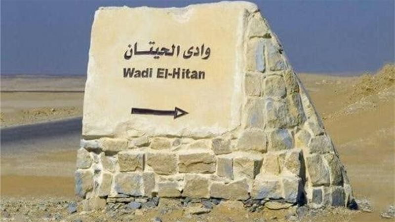 وادي الحيتان بالفيوم،فيتو