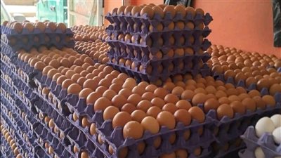 انخفاض أسعار الدواجن وارتفاع البيض في الأسواق اليوم الإثنين