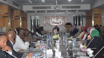 الإحصاء: تدريب الإحصائيين الأفارقة على آلية رصد ومتابعة مؤشرات أهداف التنمية المستدامة في مصر