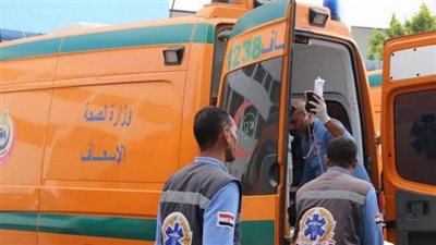 إصابة 4 في انقلاب سيارة ربع نقل بالوادي الجديد