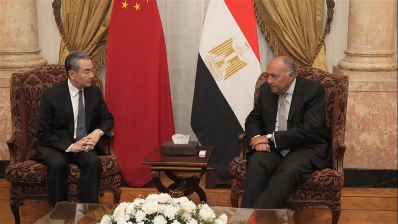 سامح شكرى وزير الخارجية