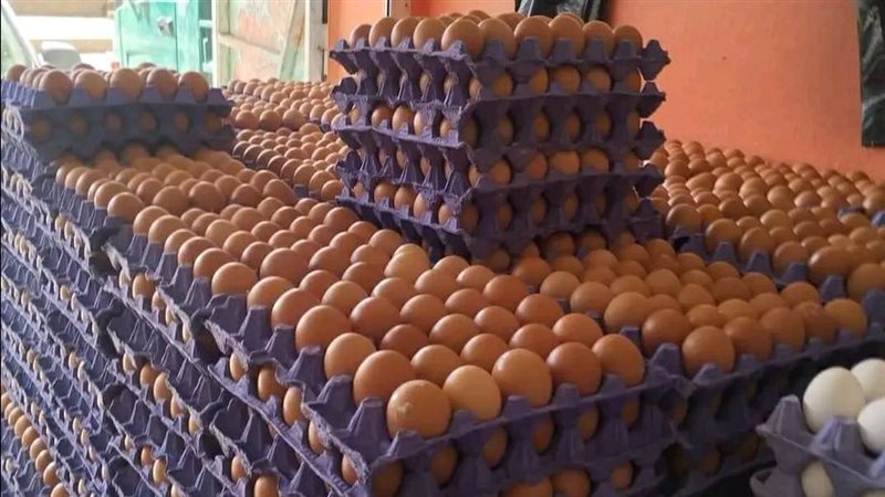 أسعار الدواجن والبيض