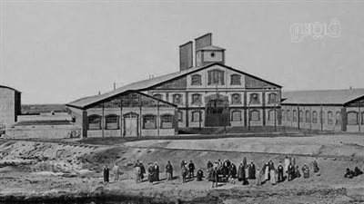 مصنع سكر أبوقرقاص.. من شهادات الـ ISO إلى خسائر بعشرات الملايين.. وتجار العسل استولوا على حصته من القصب (صور)