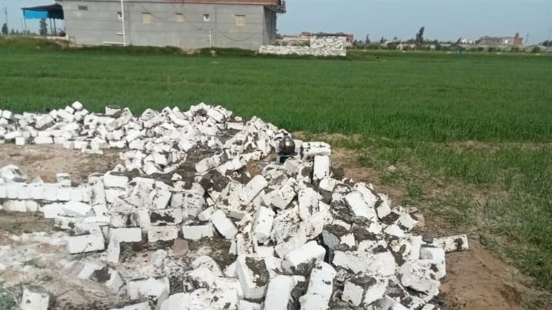  إزالة التعديات بالبحيرة،فيتو