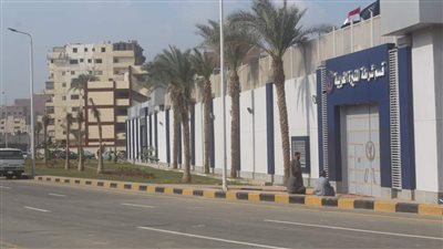 نخيل ومسطحات خضراء بمحيط قطارات الصعيد ببشتيل (صور)