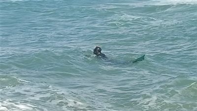 قضى في البحر 5 أيام.. مشرحة مستشفى العجمي بالإسكندرية تتسلم جثمان الطالب يوسف