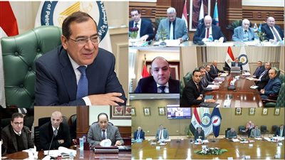 الملا: شركات القطاع العام العمود الفقري لمنظومة العمل البترولي