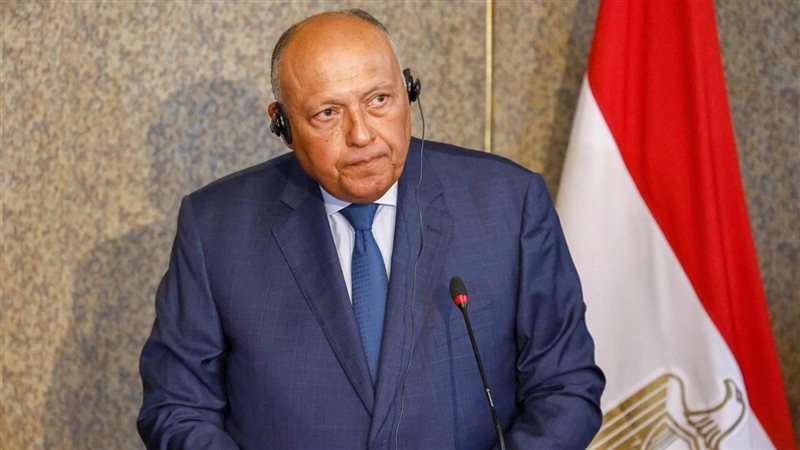 سامح شكري، فيتو