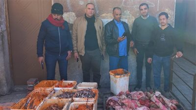 ضبط 177 كيلو لحوم وأسماك مملحة غير صالحة للاستهلاك الآدمي بسوهاج 