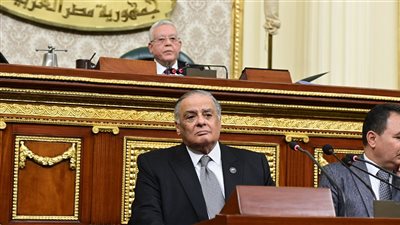 أمر يثير الشكوك، رئيس البرلمان ينفعل على بعض النواب والحكومة