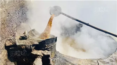 عصارات العسل تقضي على مصنع سكر أبو قرقاص.. أسعار توريد القصب للعصارات وتحقيق أرباح للمزارعين يقلل حصة المصنع.. والنباتات الطبية تستحوذ على باقي الأراضي الزراعية