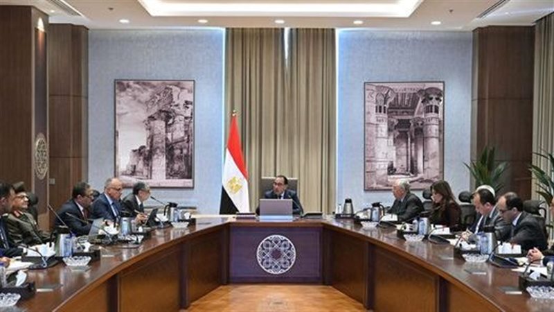 مجلس الوزراء، فيتو