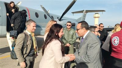 وصول كبيرة منسقي الأمم المتحدة للشئون الإنسانية إلى العريش (فيديو)