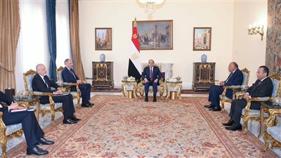  السيسي يحذر من خطورة التصعيد العسكري بالمنطقة ويشدد على الوقف الفوري لإطلاق النار في غزة