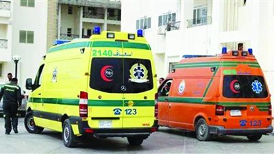 الصورالأولى للشقيقين ضحايا حادث الشرقية