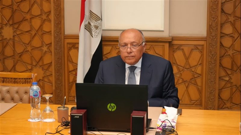 سامح شكرى وزير الخارجية،