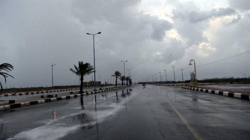 حالة الطقس غدا، فيتو