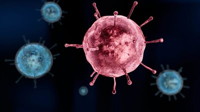 بعد تحذير الصحة العالمية، كل ما تريد معرفته عن فيروس إكس (فيديو)