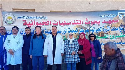الزراعة: أكثر من 3 آلاف مربٍ استفاد من خدمات القافلة البيطرية في الفيوم بالمجان