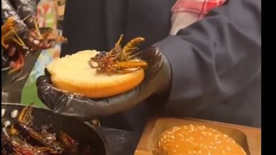 بـ 400 جنيه، انتشار برجر الجراد في السعودية يثير ردود أفعال واسعة (فيديو)