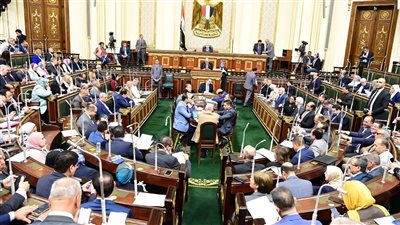  3 جهات يحق لها دعوة المجلس القومي للأمومة والطفولة للانعقاد وفقا القانون