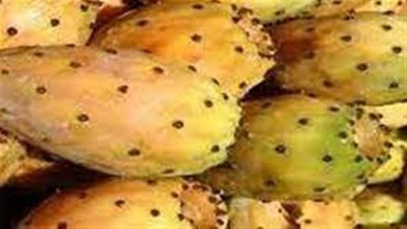 تفسير حلم أكل التين