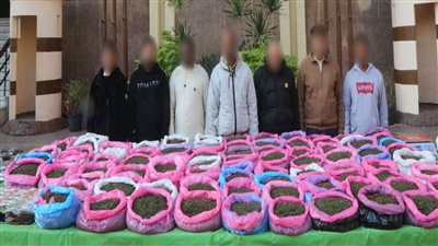 ضبط تشكيل عصابي أجنبي حاول تهريب كمية من مخدر القات بـ 8 ملايين جنيه