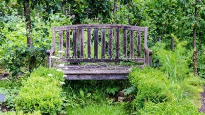 أغرب حديقة في العالم، 10 أفدنة تحت الأرض