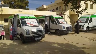 حياة كريمة تنظم قافلة طبية بواحة الداخلة في الوادي الجديد 