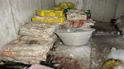 ضبط 3.5 طن لحوم و8122 عبوة أعشاب غير صالحة للاستهلاك الآدمى فى المرج والزيتون 