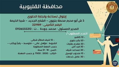 مديرية العمل بالقليوبية توفر وظائف جديدة للشباب بشبرا الخيمة