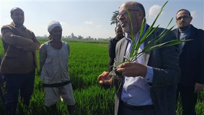 فرق الإرشاد الريفية تجوب المحافظات لتوعية المزارعين بطرق زيادة إنتاج المحاصيل الشتوية