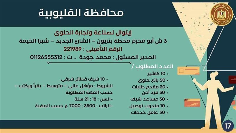 وظائف بالقليوبية،