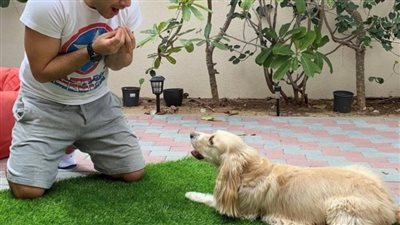 بحث جديد: الحيوانات الأليفة تهدئ أطفال التوحد وتساعدهم على النوم 