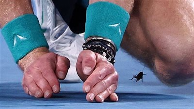 بطل تنس يطارد 