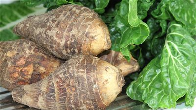 عيد الغطاس، قصة معمودية السيد المسيح في نهر الأردن 