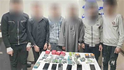 حبس المتهمين بتشكيل عصابي تخصص في الاتجار بالمخدرات بالقليوبية 