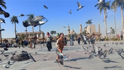 15 صور ترصد فرحة أطفال الأقصر بأسراب الحمام الأسود بساحة أبوالحجاح