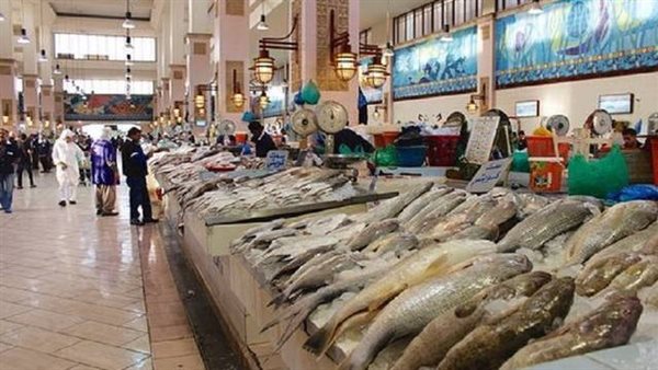 أسعار الأسماك اليوم، الكابوريا تسجل 230 جنيهًا في سوق العبور