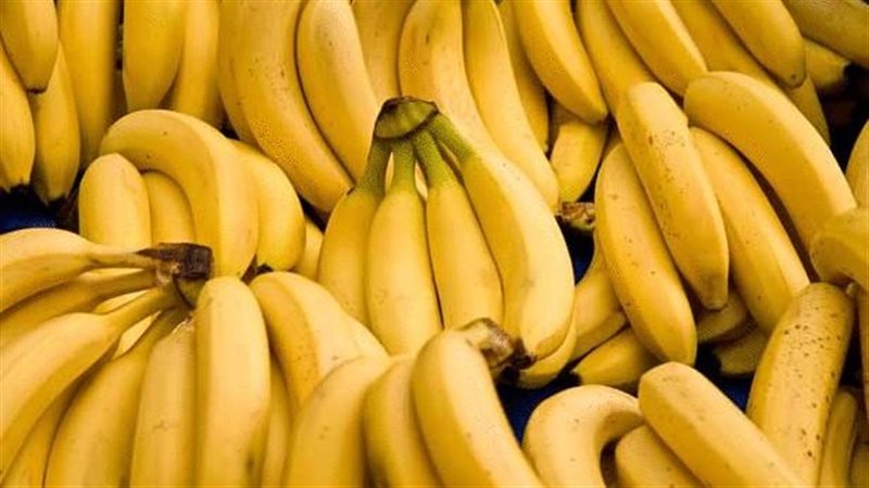 أسعار الفاكهة في