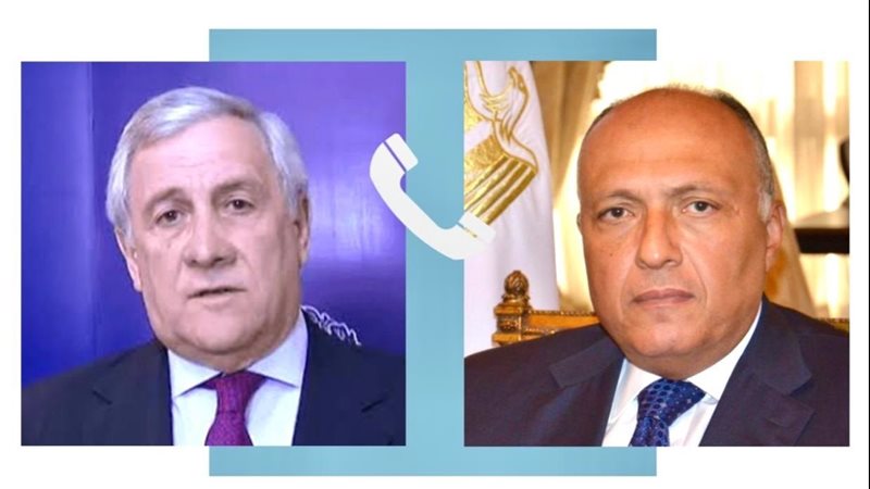 سامح شكري وزير الخارجية