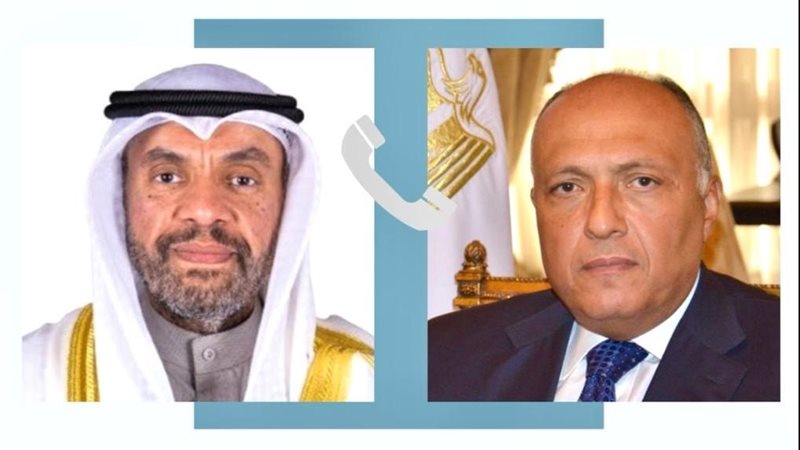 سامح شكرى وزير الخارجية