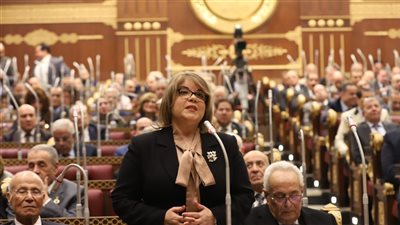 وكيل الشيوخ تطالب بتحقيق التوازن البيئي في التنمية السياحية 