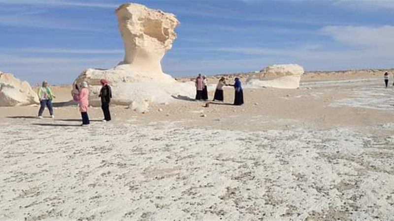 محمية الصحراء البيضاء،