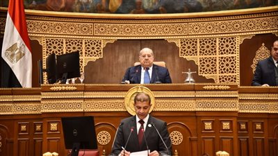 رئيس الشيوخ يحيل طلبي مناقشة بشأن التنمية السياحية للجنة المختصة 