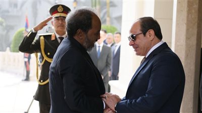 قمة إرتيرية صومالية بأسمرة قبل مباحثات الرئيس السيسي