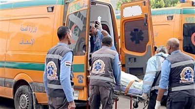 ذبح شاب على يد ابن عمه بسبب خلافات عائلية في الفيوم