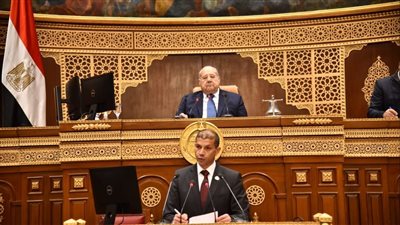 نائب يهاجم وزير السياحة.. ورئيس مجلس الشيوخ: التجريح مرفوض